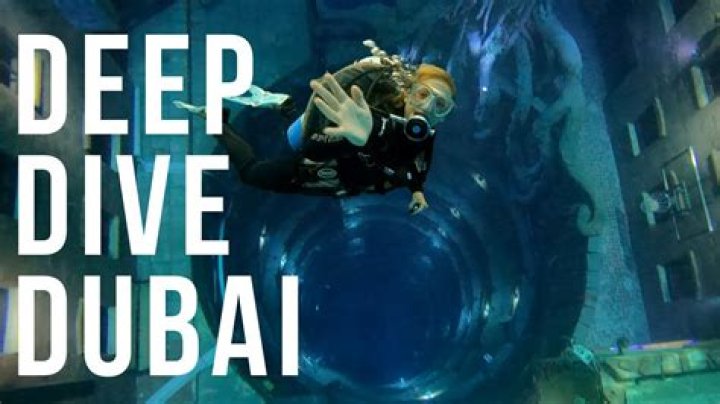 Dive Into The World Of Ella Rae Wahlberg