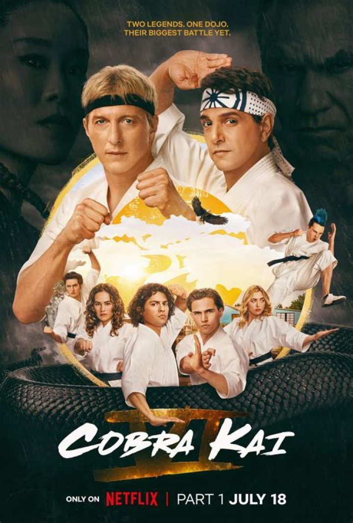 Exploring The Background Of The Cobra Kai Star