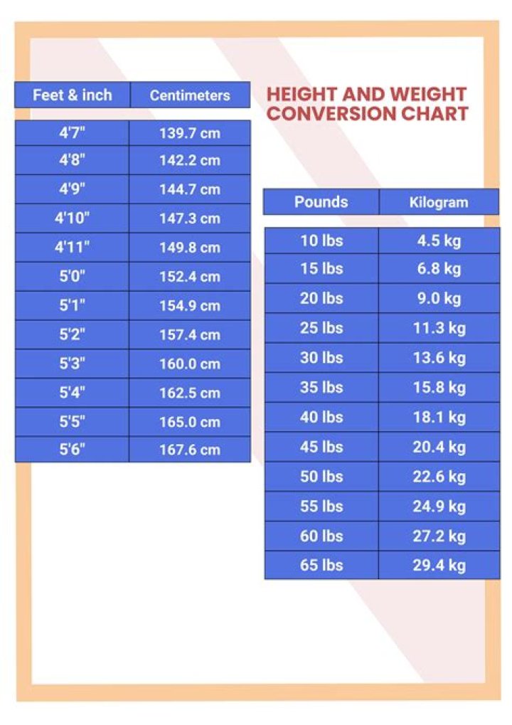 Hoda Kotb Weight And Height
