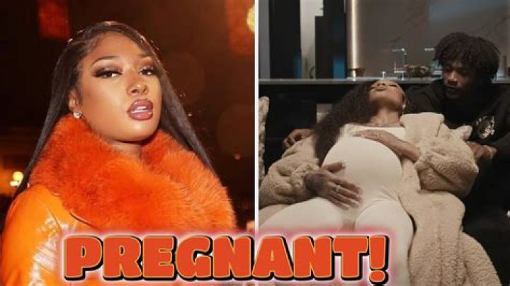 Megan Thee Stallion Pregnancy