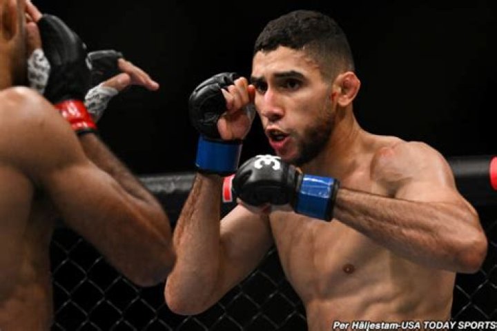 The Rising Star Of Mixed Martial Arts