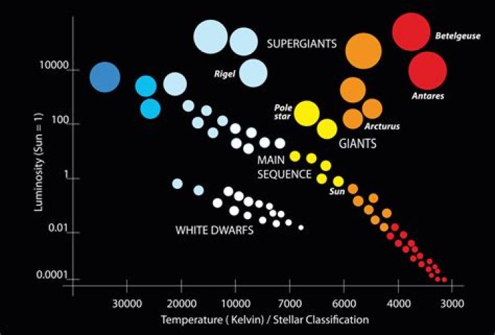 Uncovering The Age Of A Notable Figure
