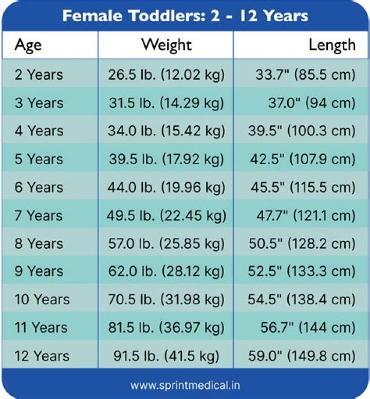 Unveiling His Net Worth, Wiki, Age And Weight